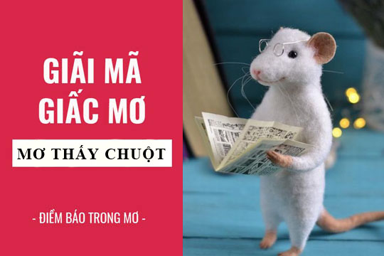 Chiêm bao thấy loài chuột điềm báo gì? | Sổ mơ Thabet88